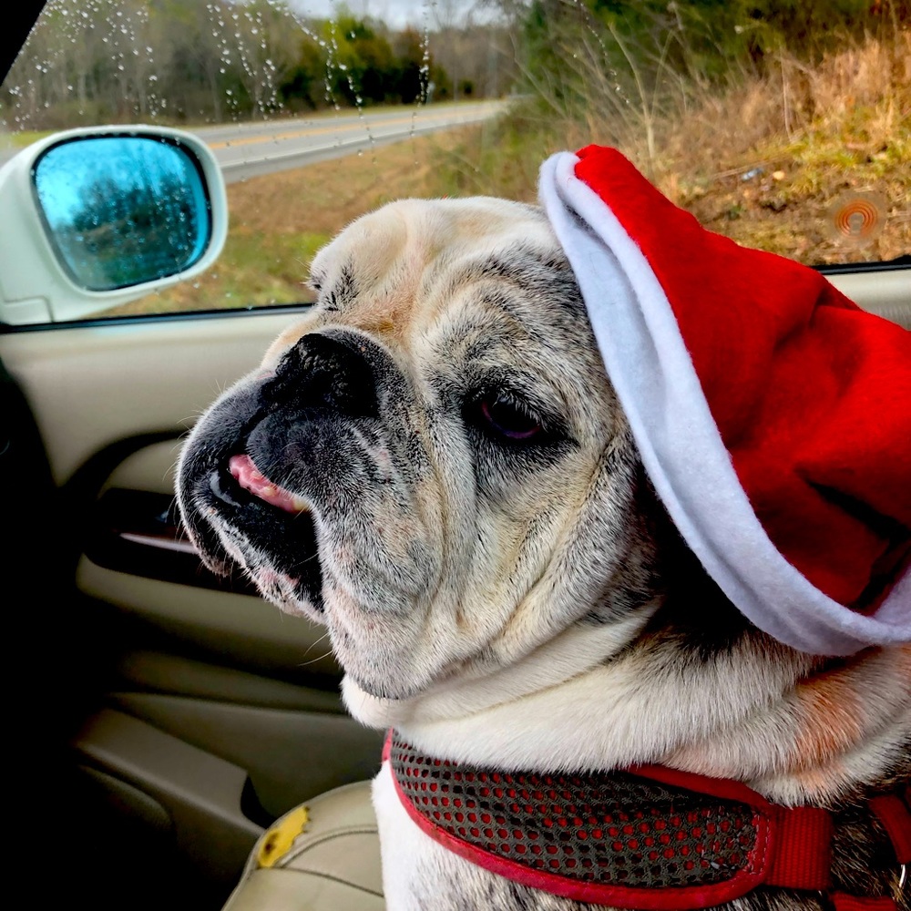 Meet your Posher, Sheril